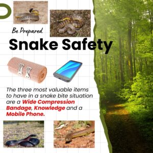 snake bite safety