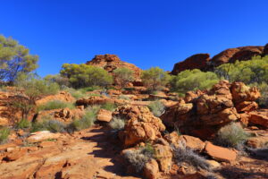 The rugged Australian Outback